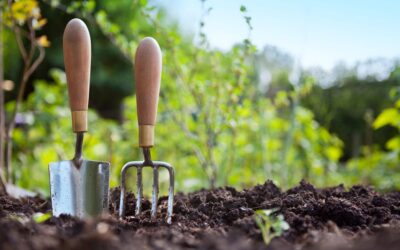 Se mettre au jardinage pour cultiver ses propres légumes et fruits frais